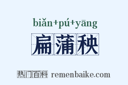 扁蒲秧是什么意思的图片